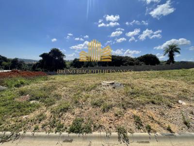 imagem-miniatura