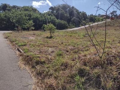 Terreno para Venda, em So Jos do Rio Pardo, bairro Alto do So Domingos